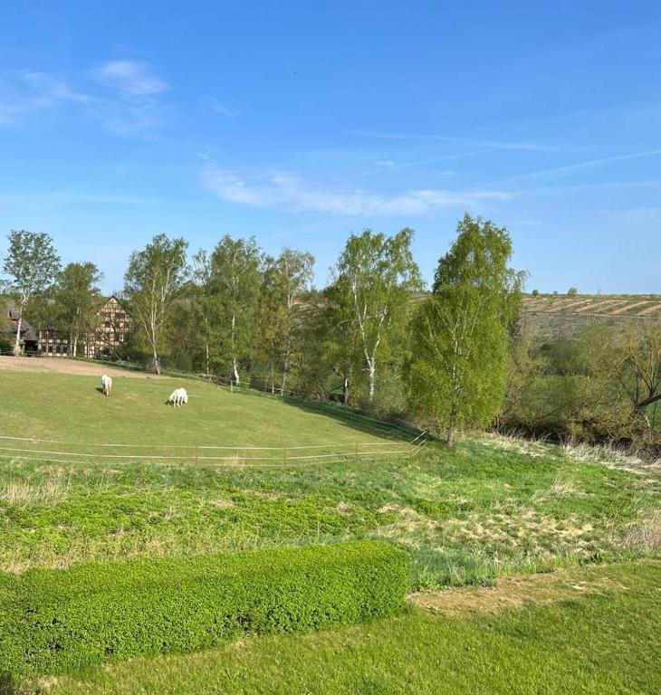 Js Feriendomizile Haus Sonnenschein Bettwaesche Handtuecher Inkl Hasselfelde Exterior foto